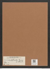 Navicula definita Grove et Sturt (de-Toni-Nr.: Genus 1, Species 420) Zeichnungen Sammlung Grunow Mappe 00384 (Herbarium_W_Grunow_drawings_Folder_00384)